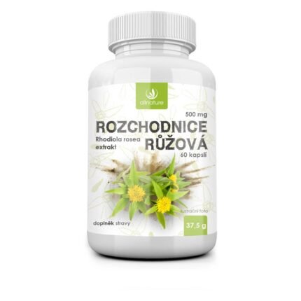 Fatiga crónica y baja energía-ALLNATURE Rhodiola rosea 500 mg,