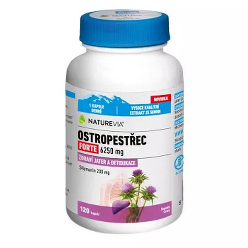 naturevia milk thistle forte 120 Protección hepática — NATUREVIA Milk Thistle forte,