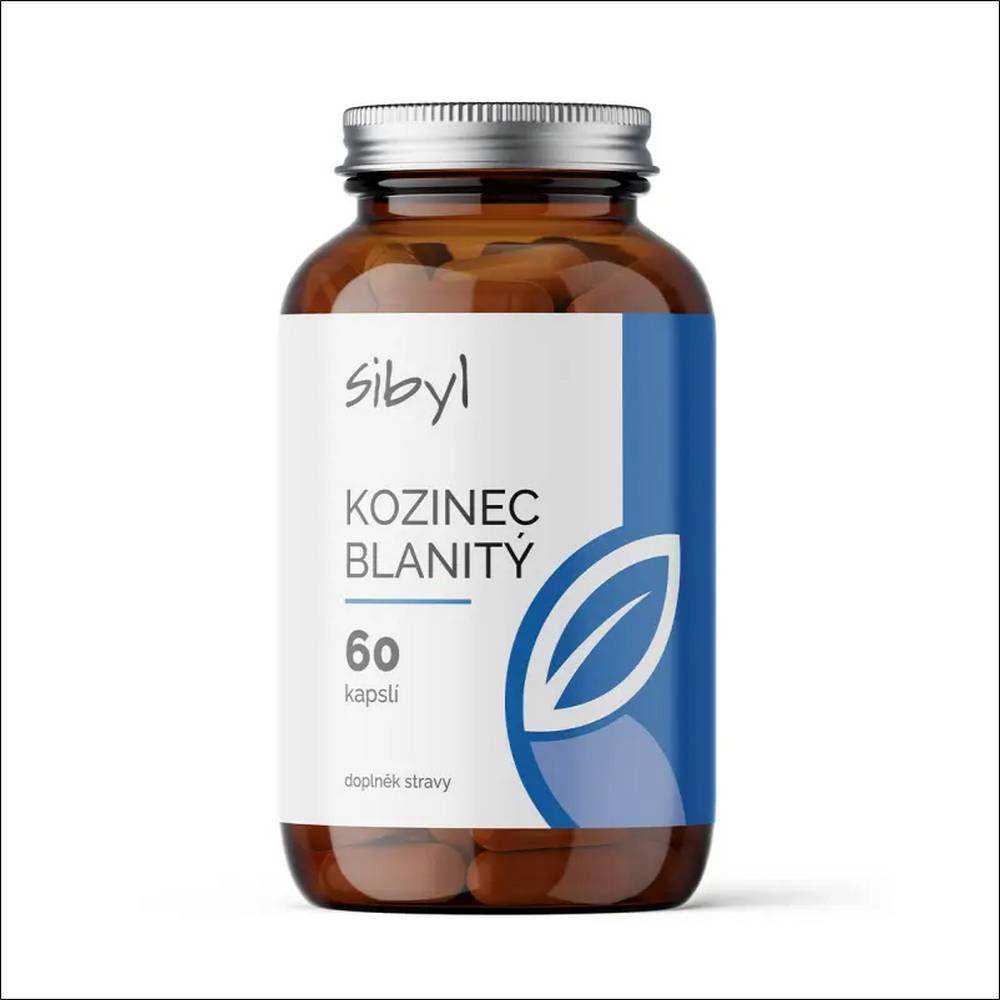 sibyl 60 capsules Гормональный баланс и женская жизненная сила – SIBYL