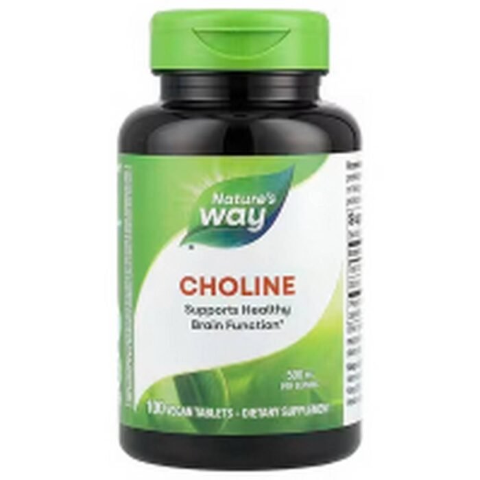 Brain Health - Nature's Way, Choline, 500 mg,
